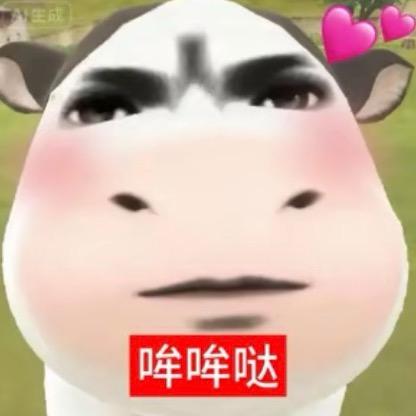别烦我