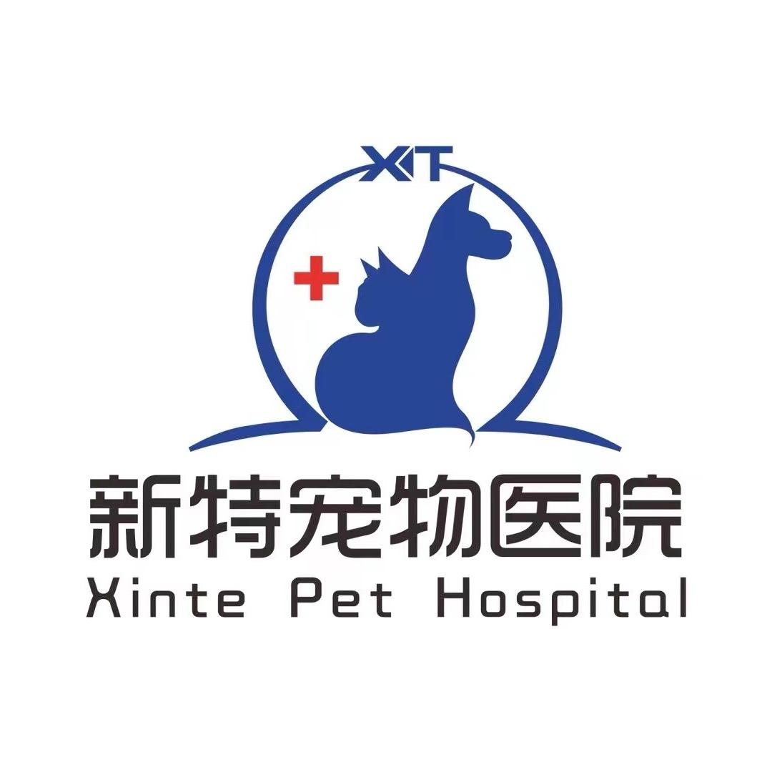 登封新特宠物医院 小秦🫧