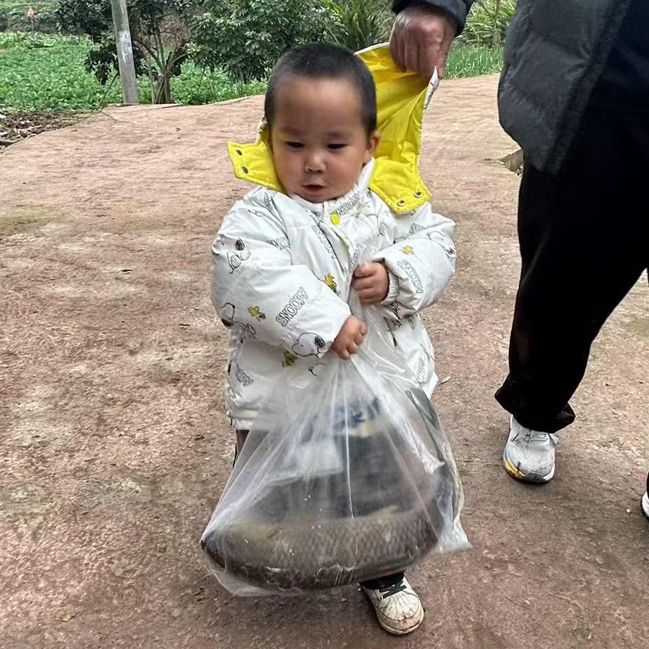 豫见好物