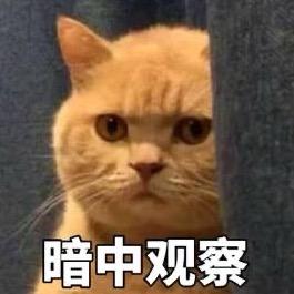 [暗中观察]