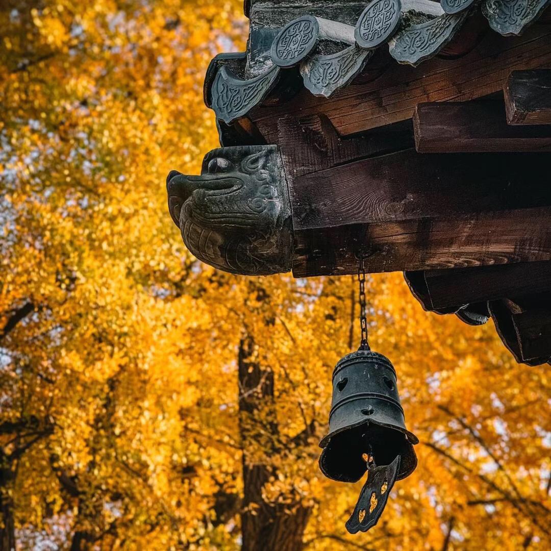 云书老师