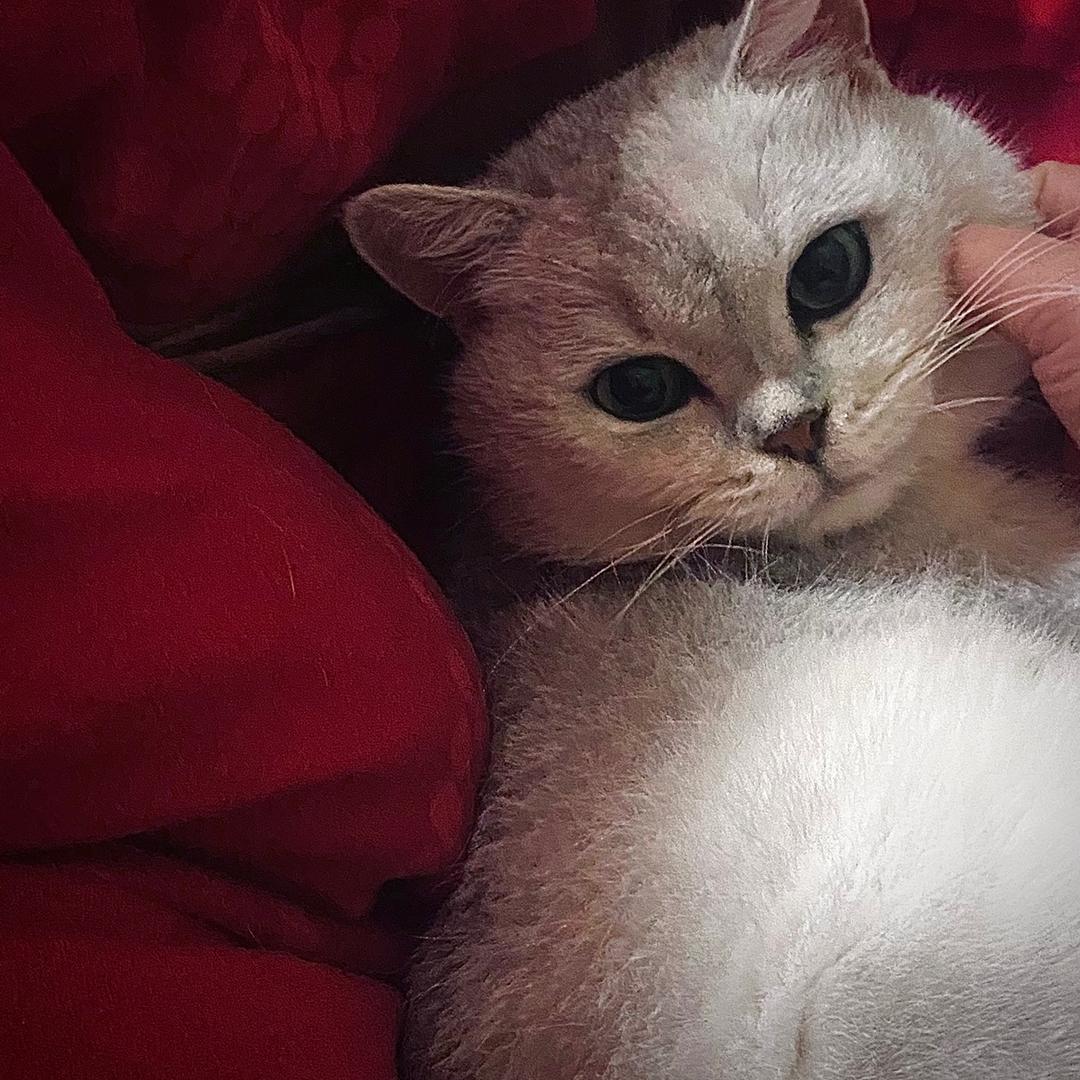 铅笔小欣