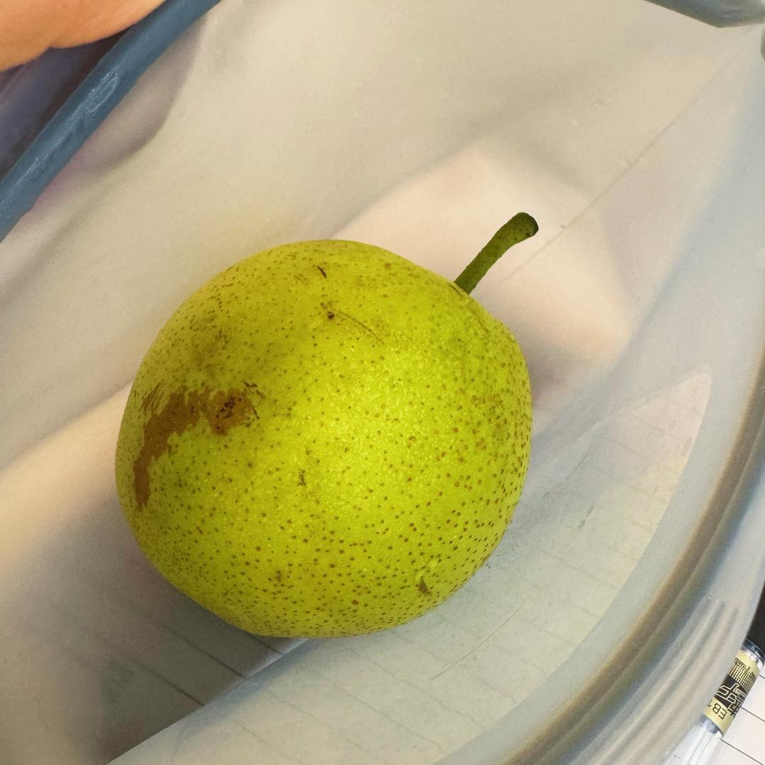 喜欢梨🍐