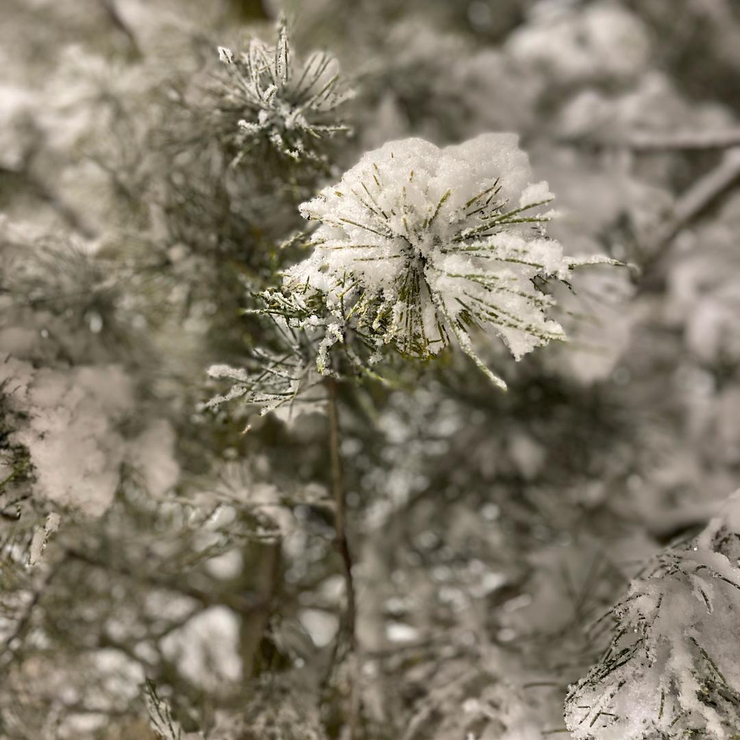 时间的收藏家