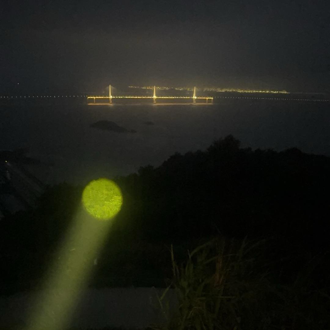 鱼的记忆
