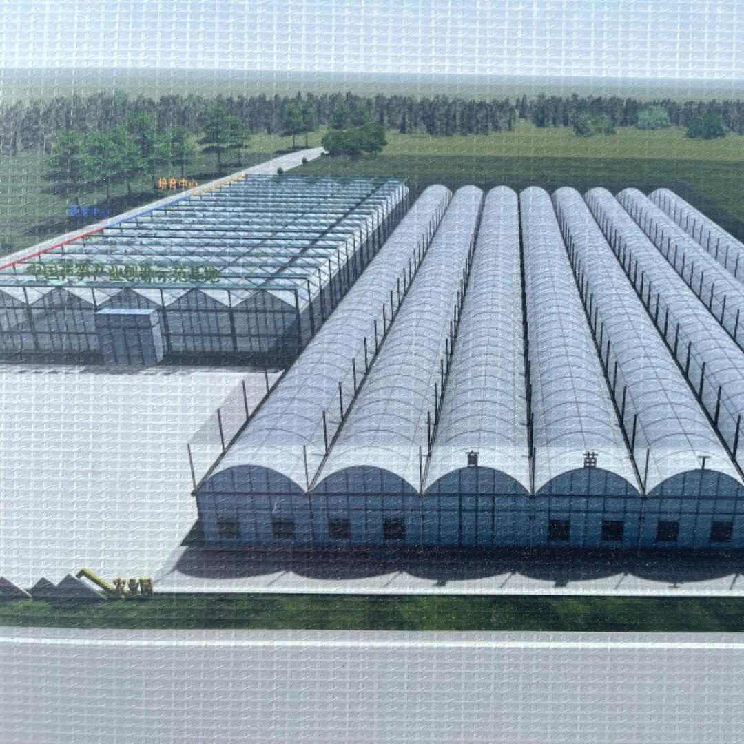 乐青芦笋大盛基地