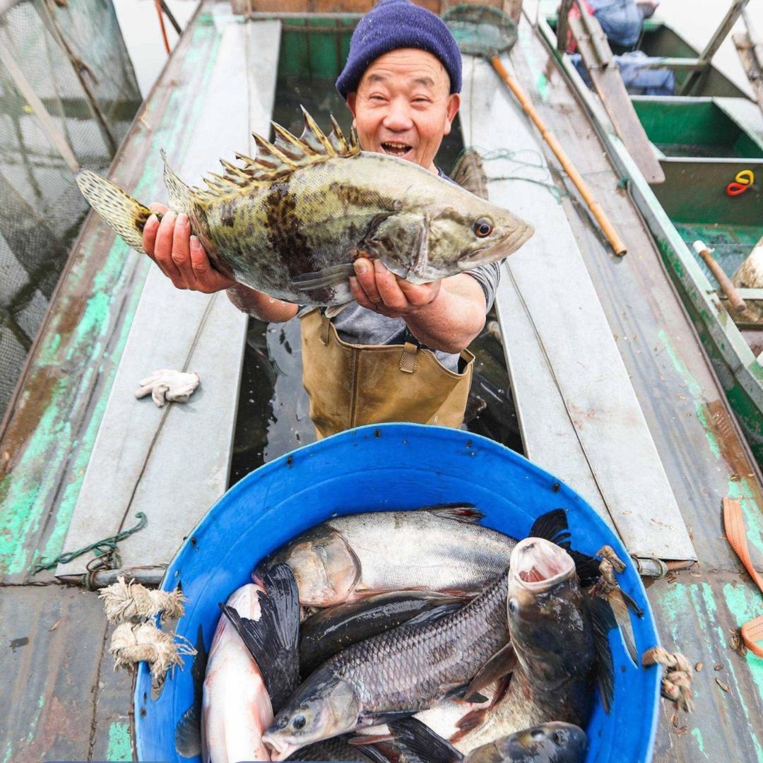 渔船鲜味铺