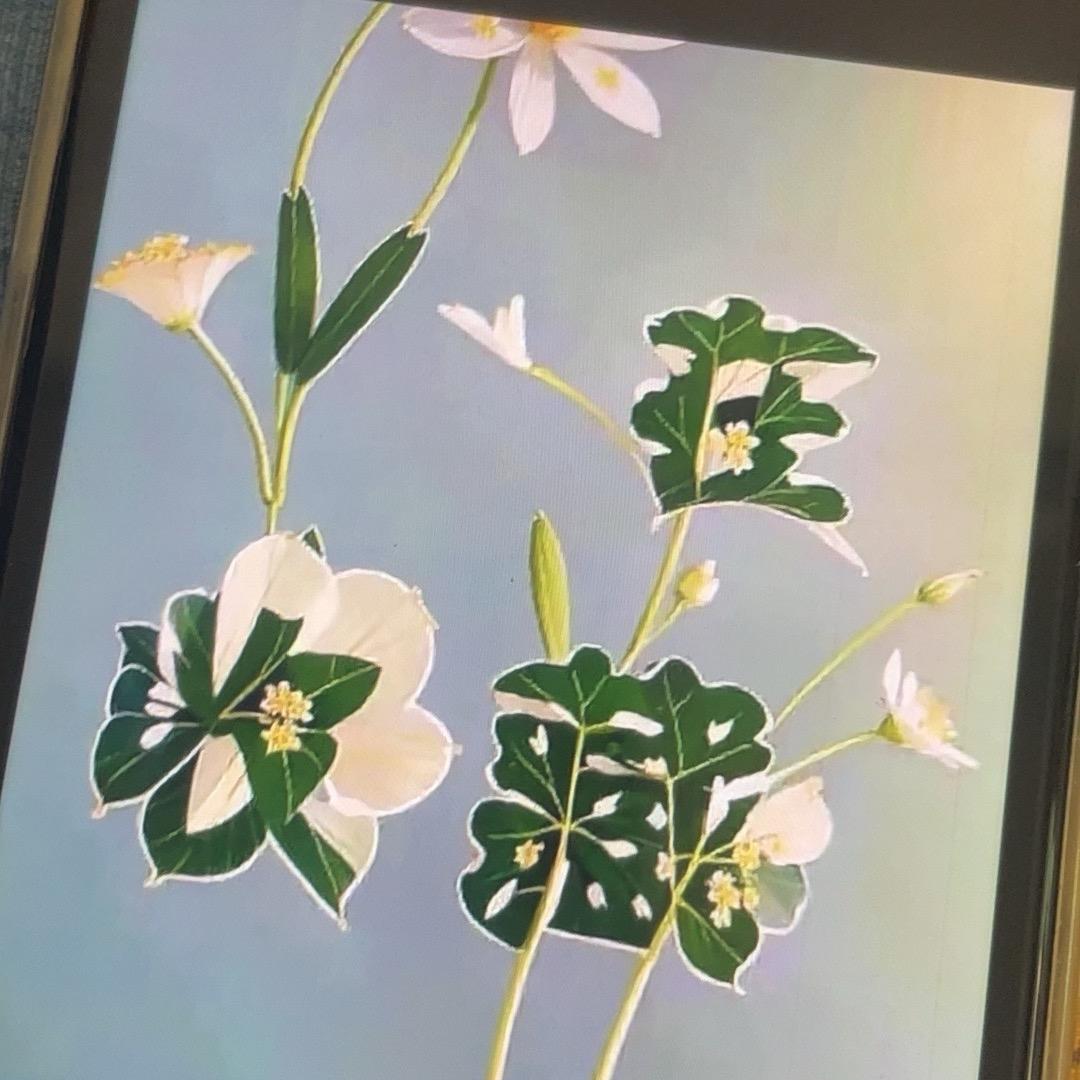 用户1081800127243