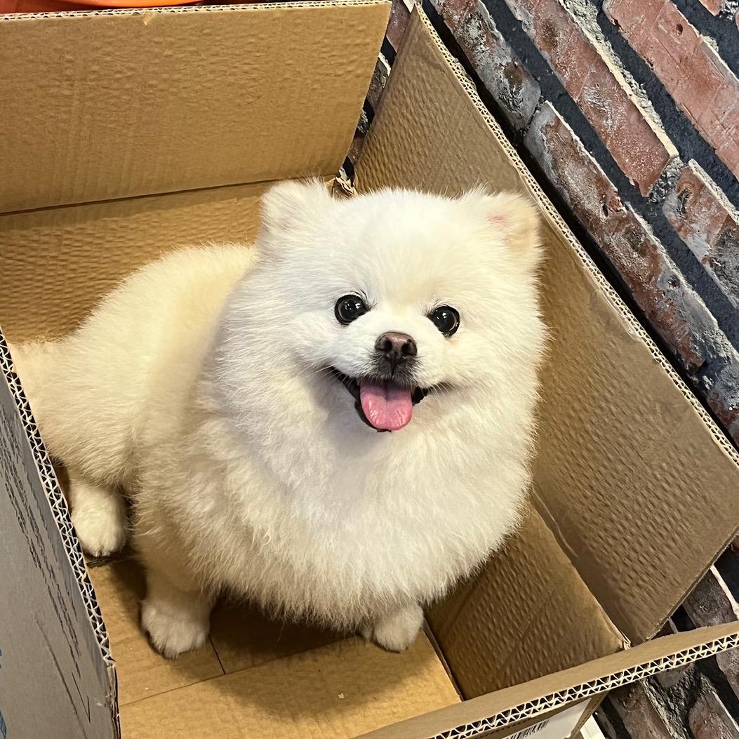 名仁华