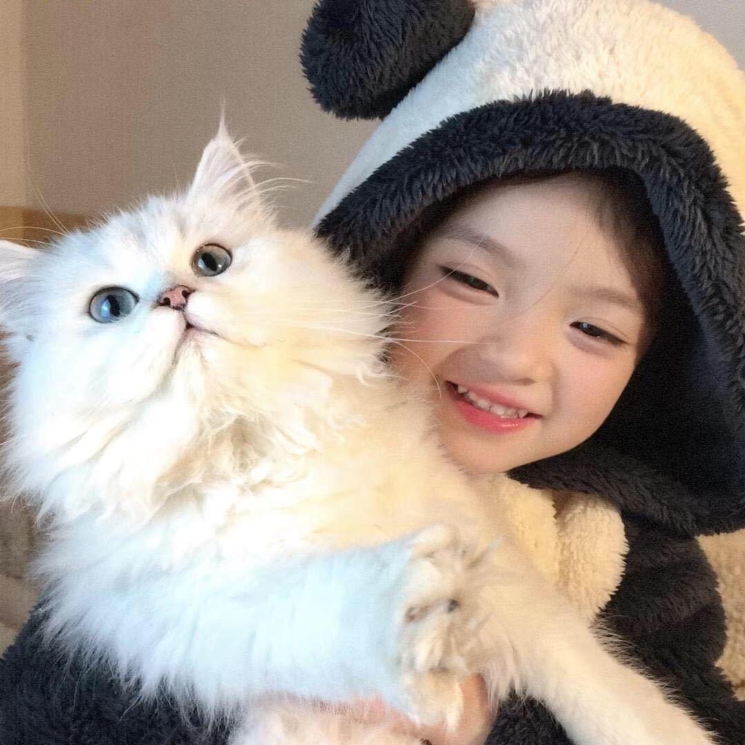 土豆泥