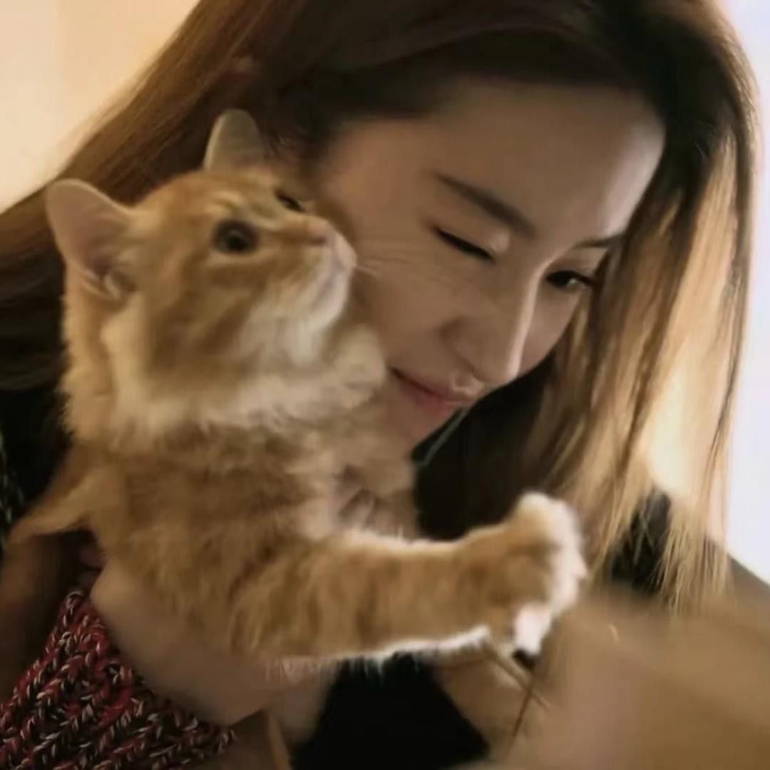 小葵