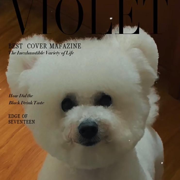 汪旺喵·Pet