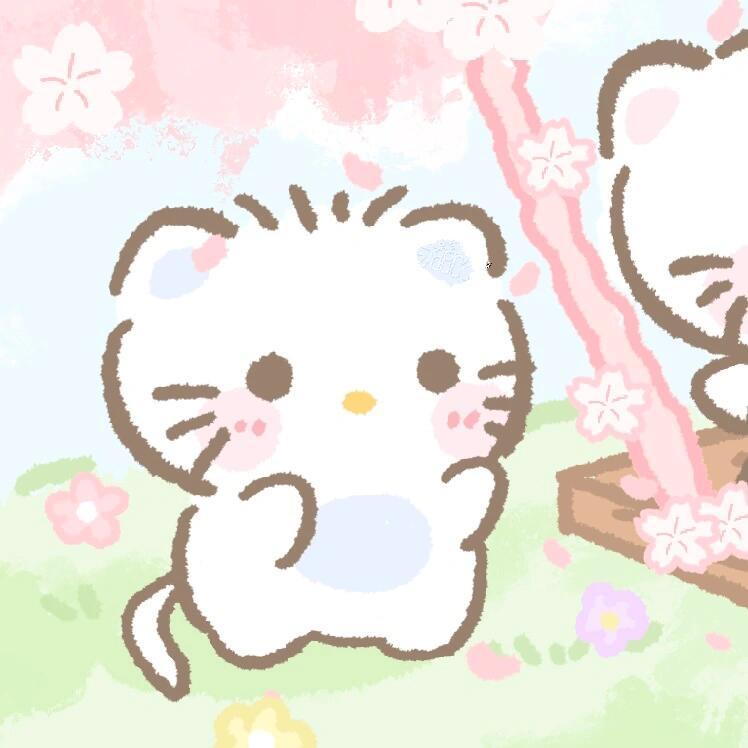 猫猫鱼冻干