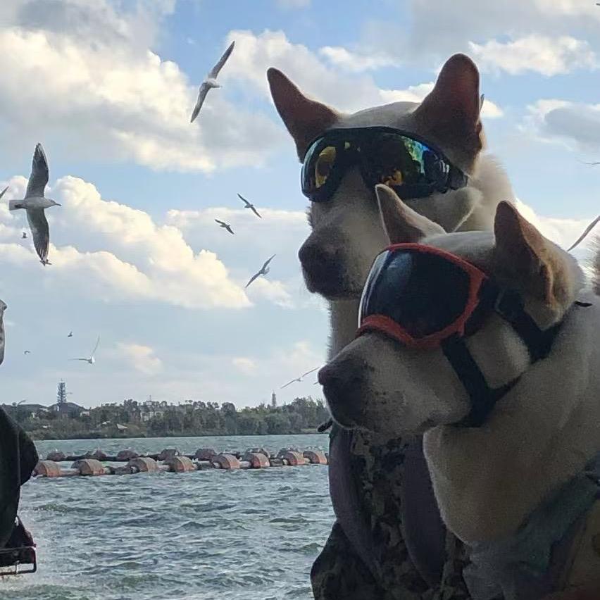 🌈.四个蛋（W.出行）