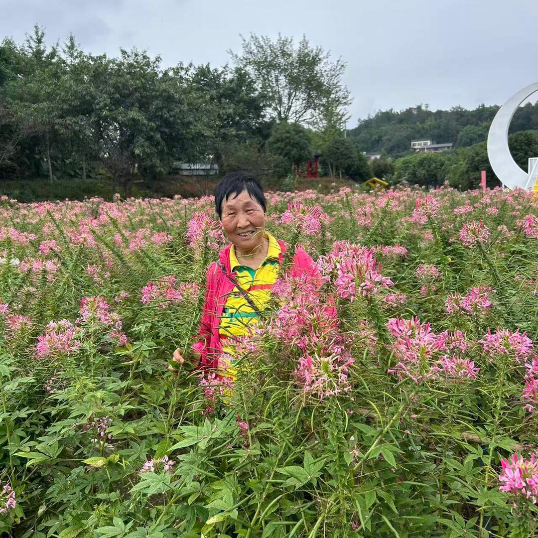 建康就快到了吗？