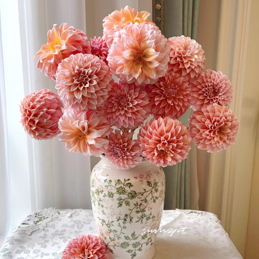 花田溪鲜花绿植