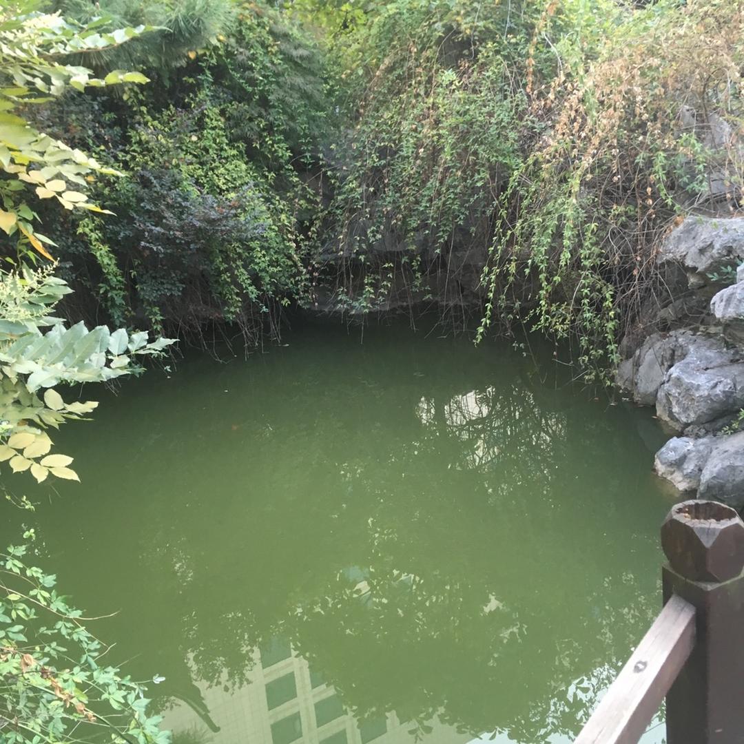 阿拉善