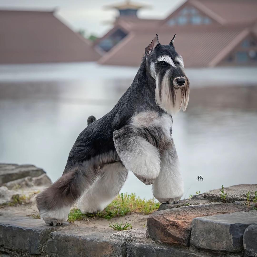 元来
