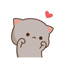 毛小喵🐱