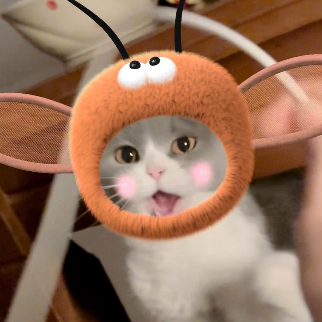 小鑫‘