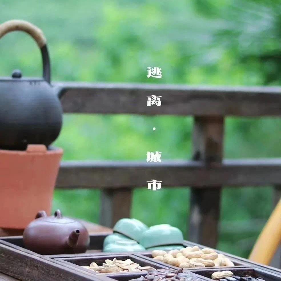 小吴的院子