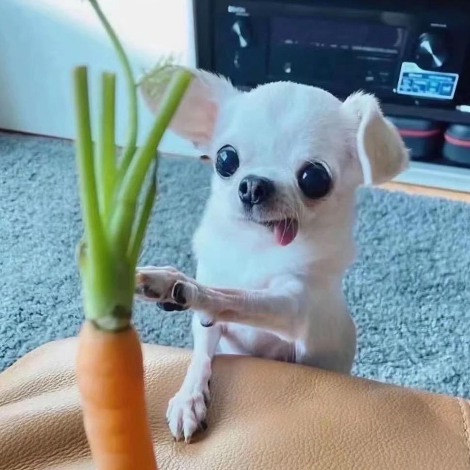 晕晕