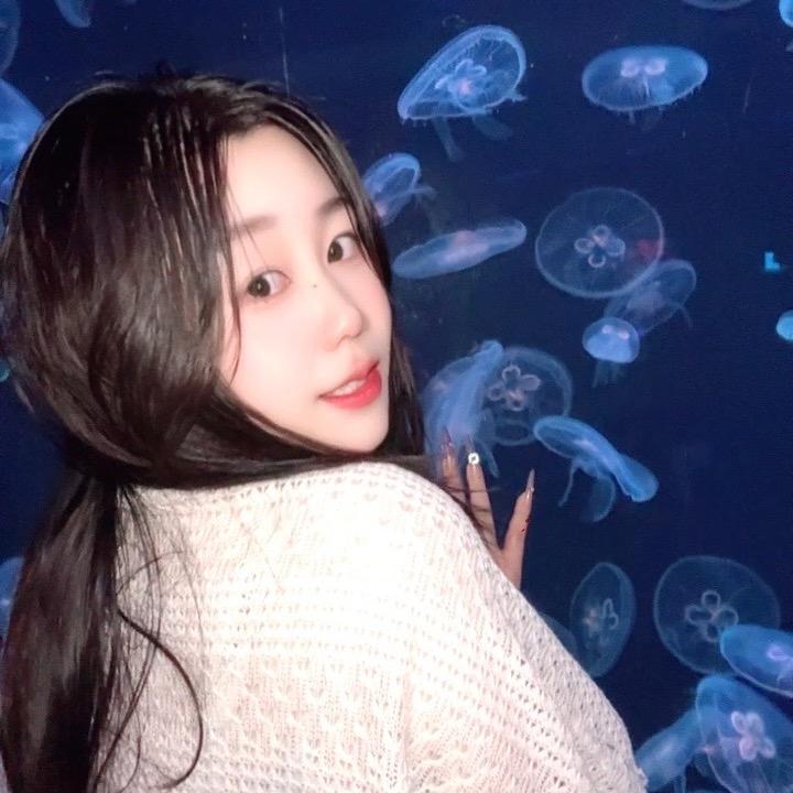 你好🌙