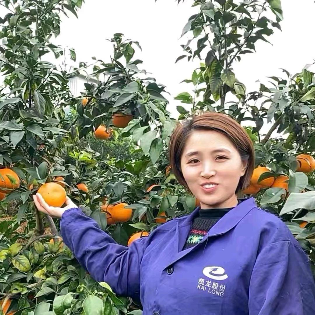 小沈家果园（爱媛果冻橙）