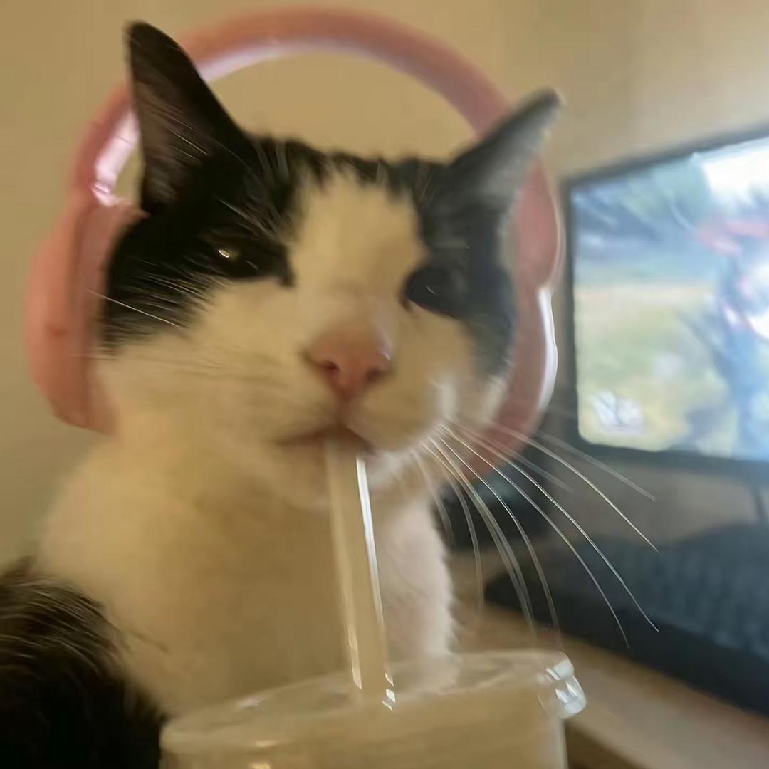 老天爷你赏我的饭怎么是黄磊做的