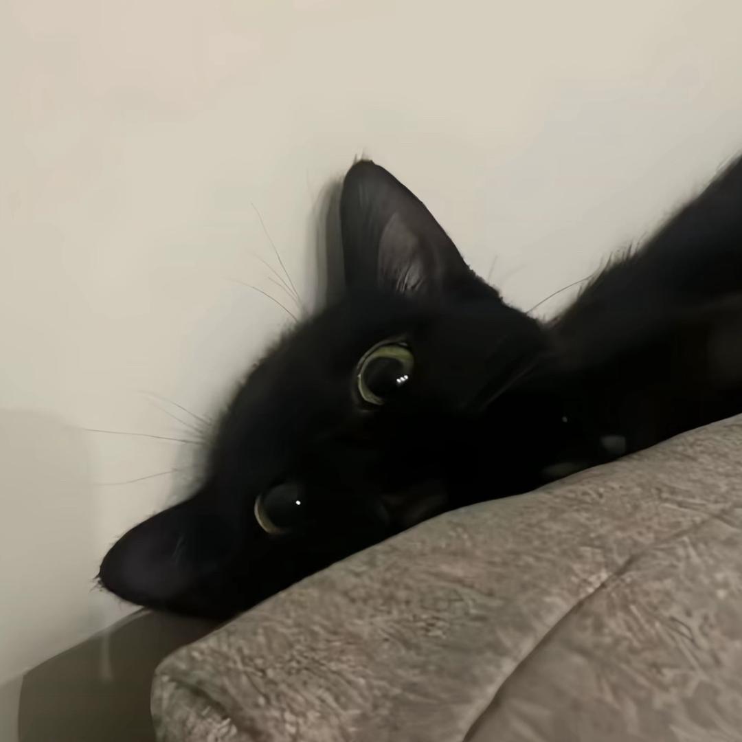 V E