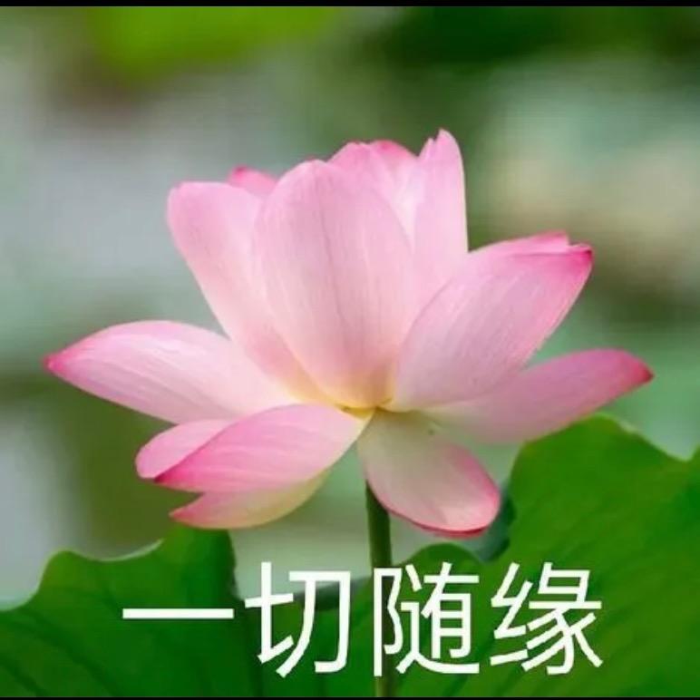 思思3号