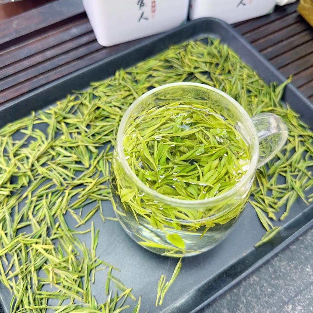烁烁安吉白茶