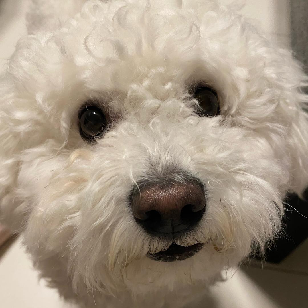 我也不知道叫啥