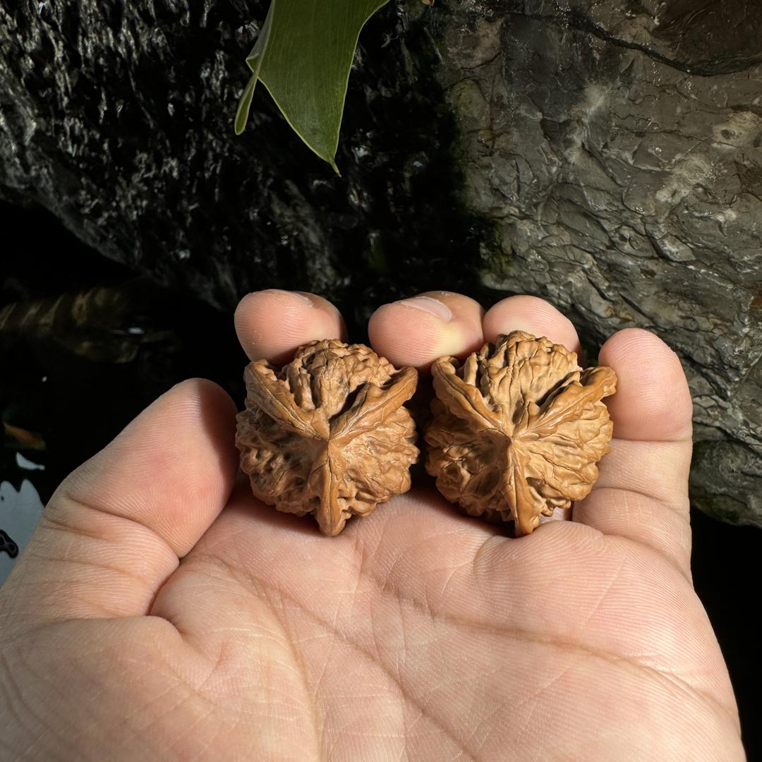 【核如意】-悬日月文玩