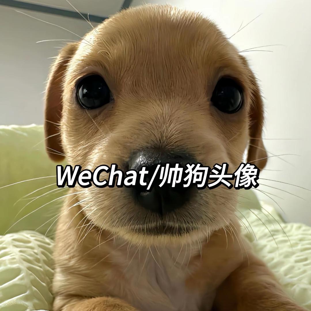 没有排骨不7饭