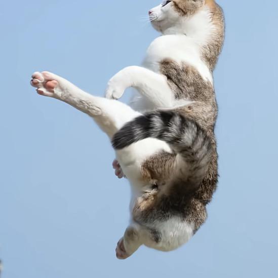 乌鲁鲁巨岩繁星水煮肉片