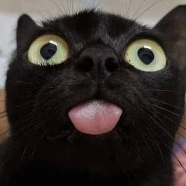 老婆不让踩井盖儿