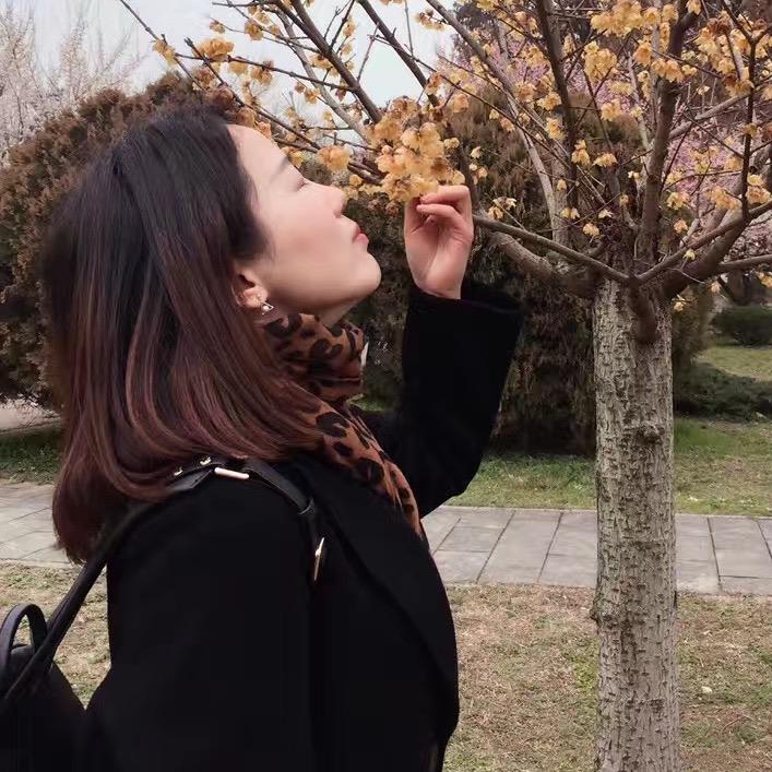 不停奔跑的木木