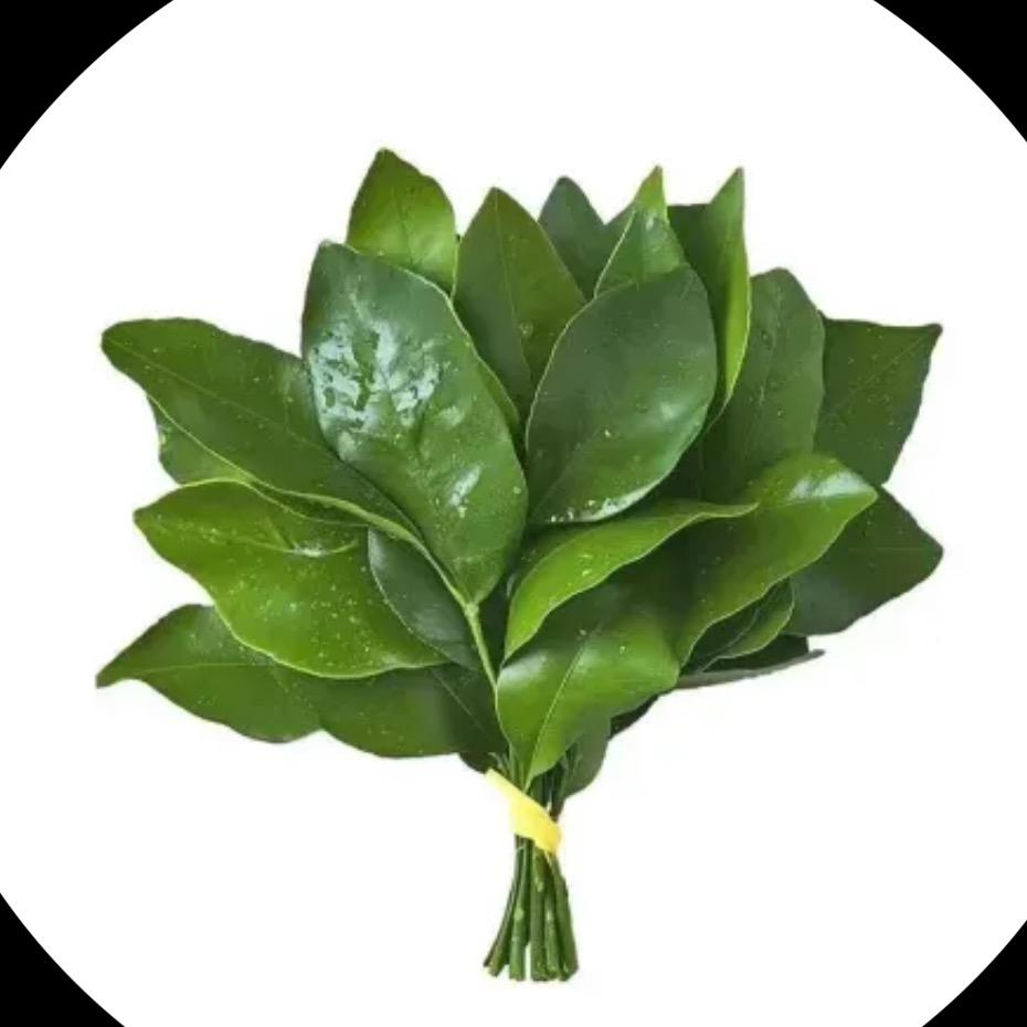 大连奶茶侠（酱总娘家人）