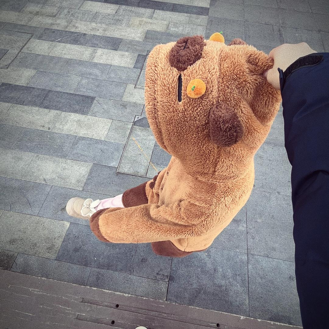 球   球_