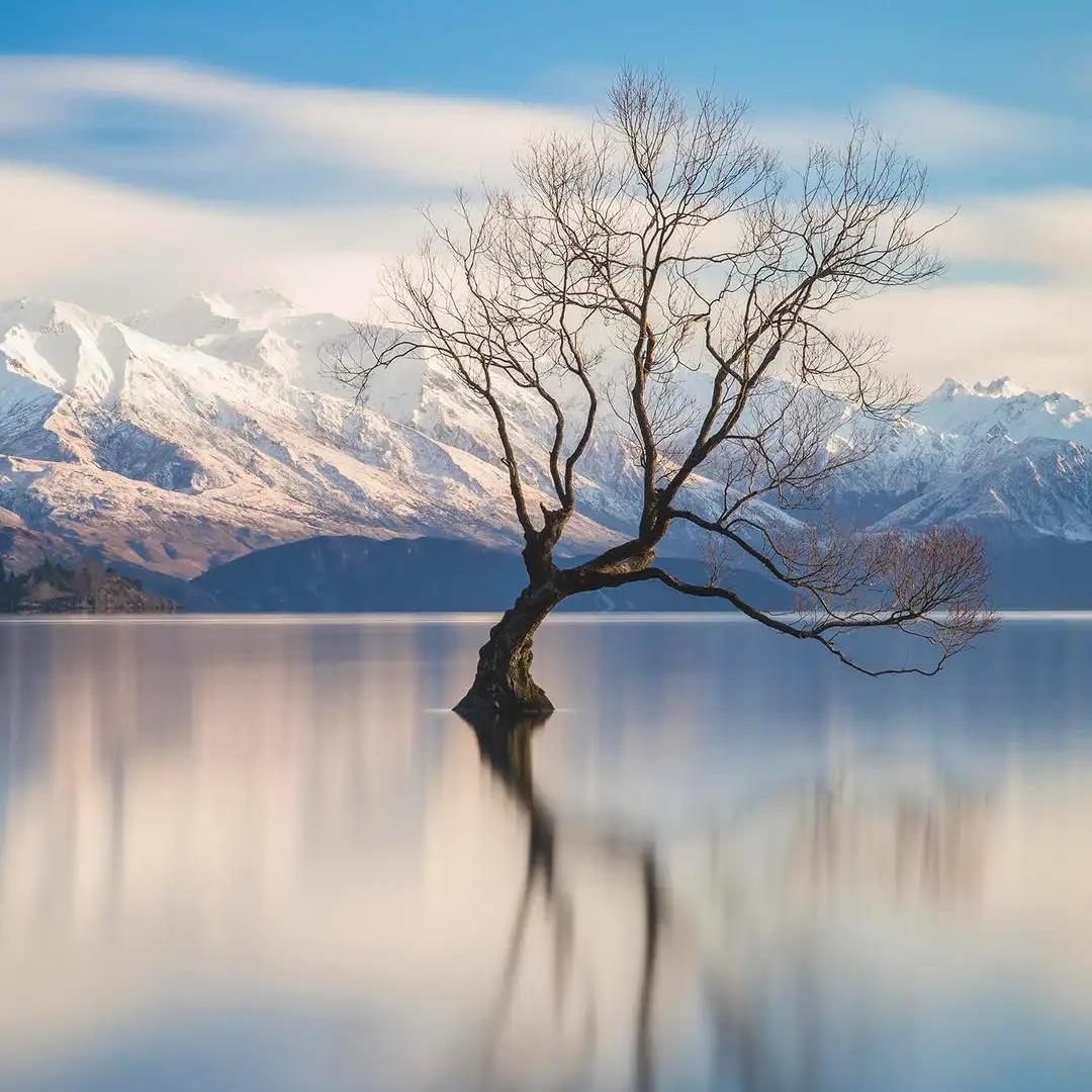 伊白淇百货小铺