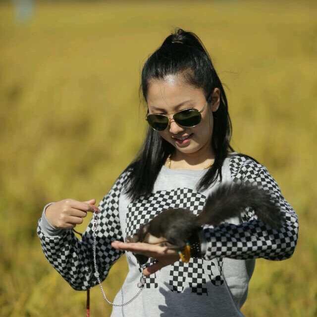 上海网约车媛宝