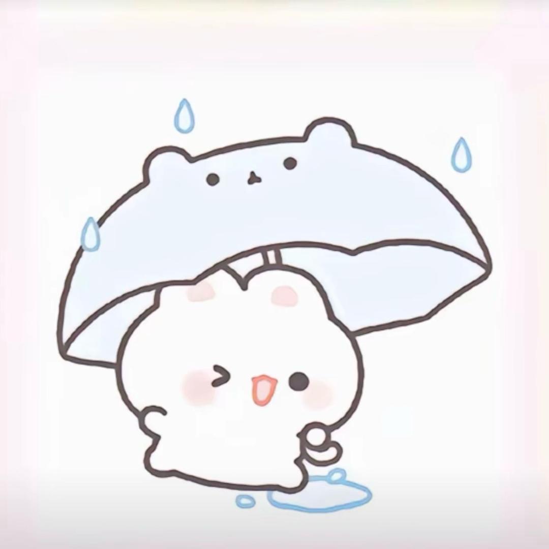 筱雨☔️.