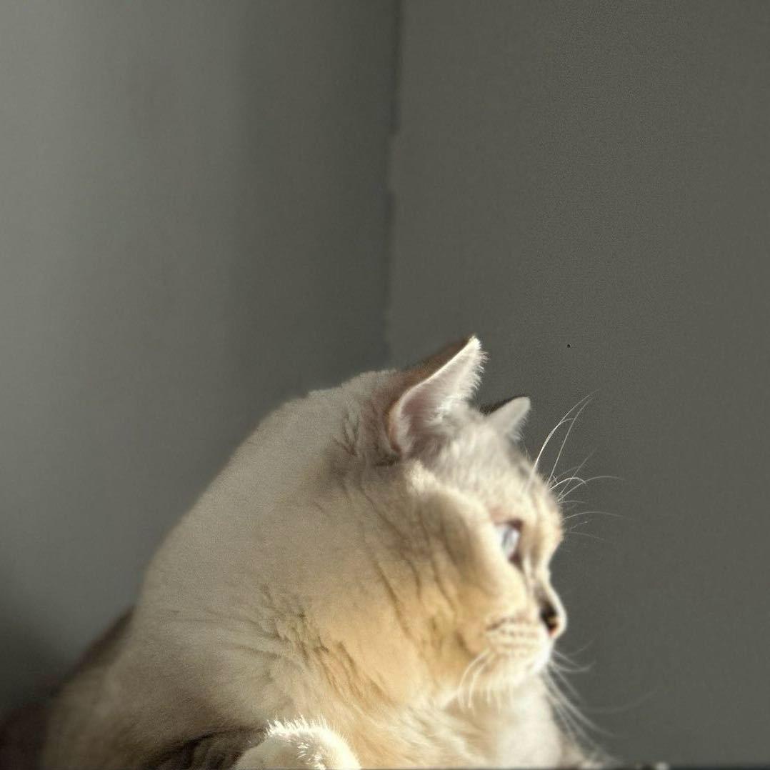 ￴￴￴￴ ￴ ￴