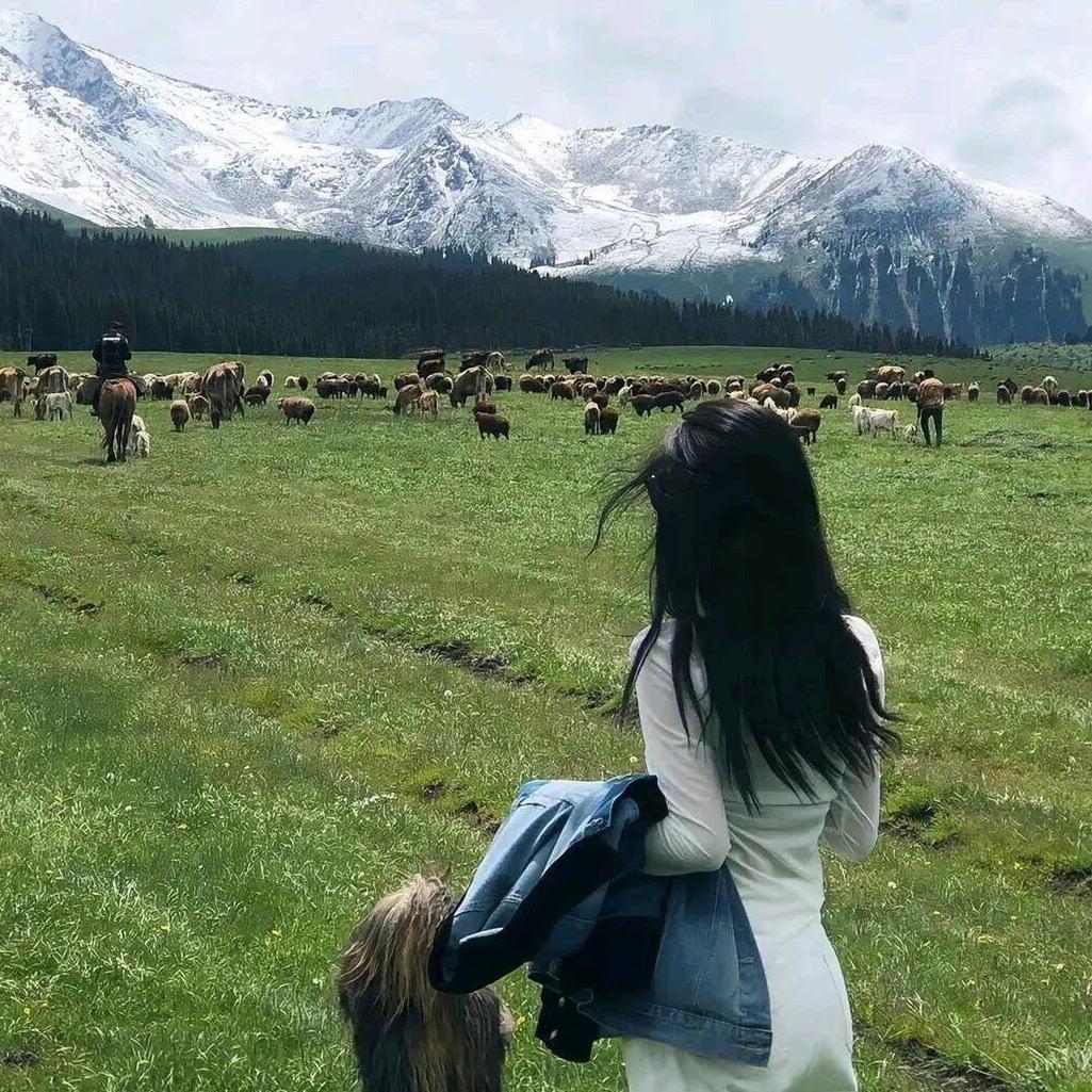 大曼曼呀