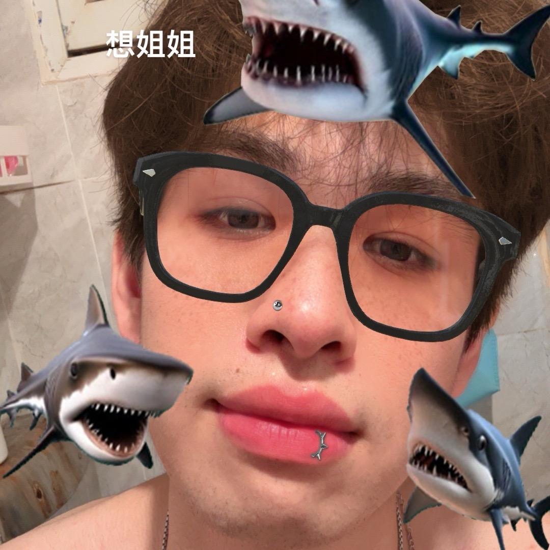 努力努力de小子