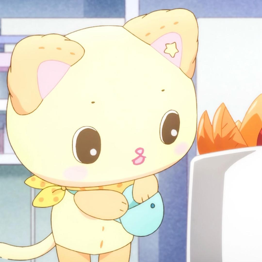 西红柿喜欢在书店做俯卧撑（Joy）