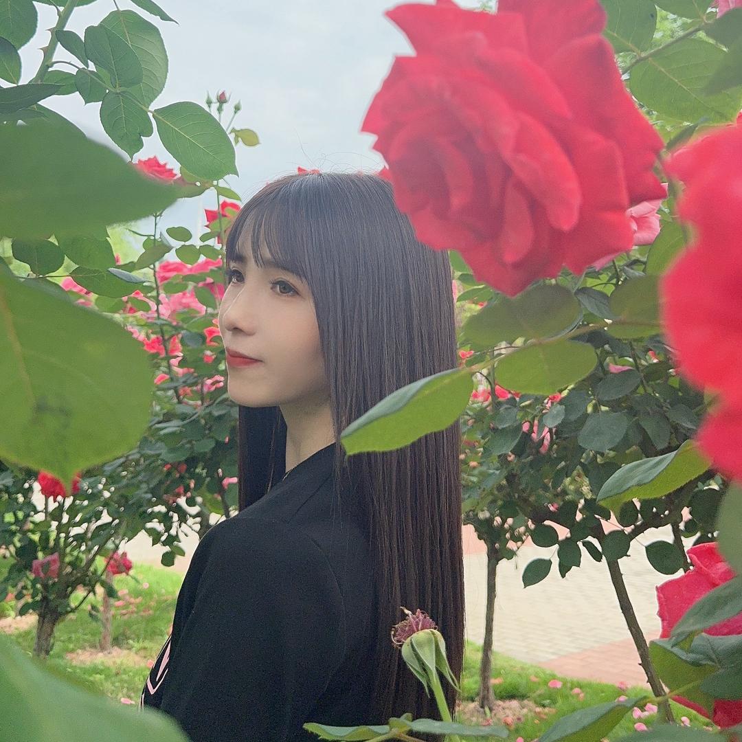 司家姑娘