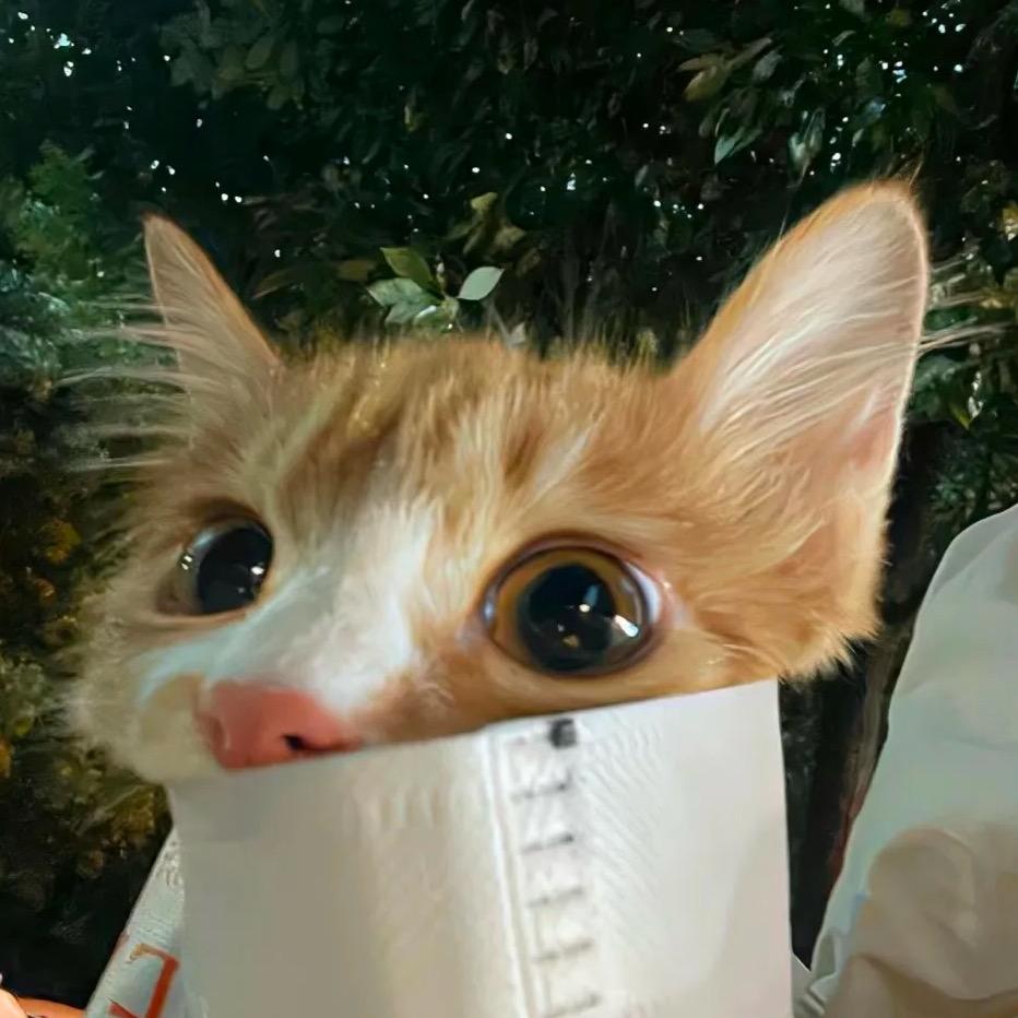拖鞋有心事