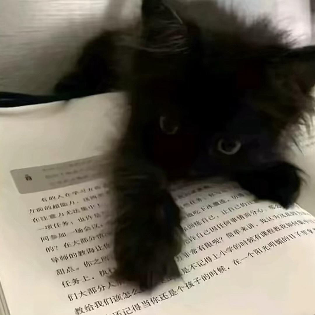 无能的丈夫.